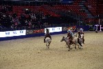 Quadrille - 00325